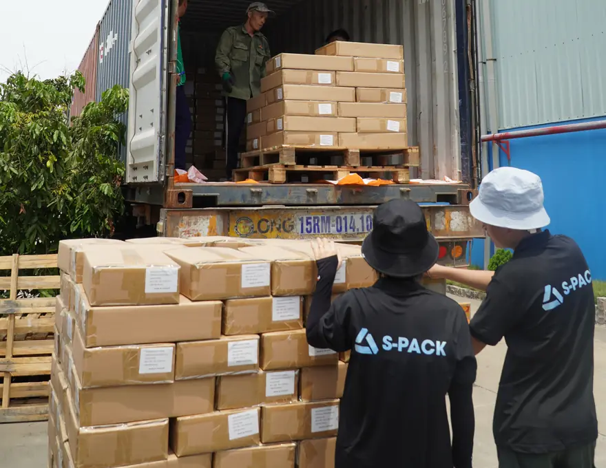 Packing & delivery